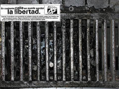 Campaña Fundación País Libre